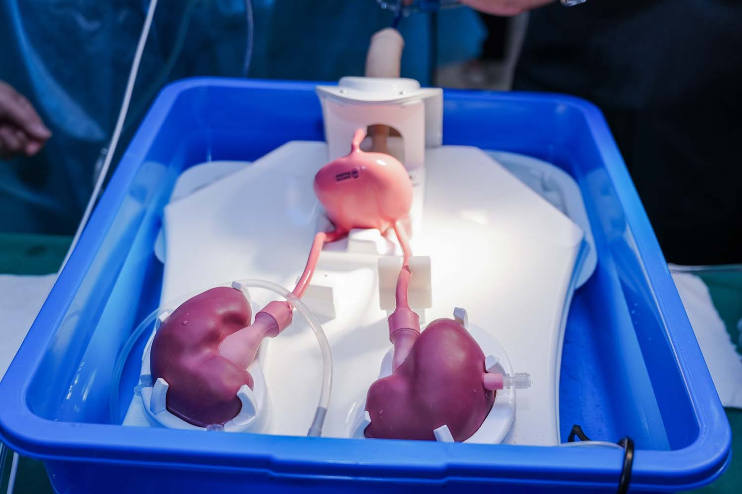 DSC01279